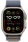 Apple Watch Ultra 2 49mm Titanium Case with Blue Alpine Loop (Medium)
